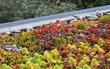 the cost of Bamber Bridge green roof installation