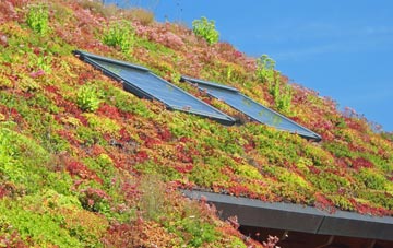 Bamber Bridge living roof systems